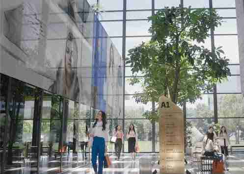 z6mg·人生就是博光电简介